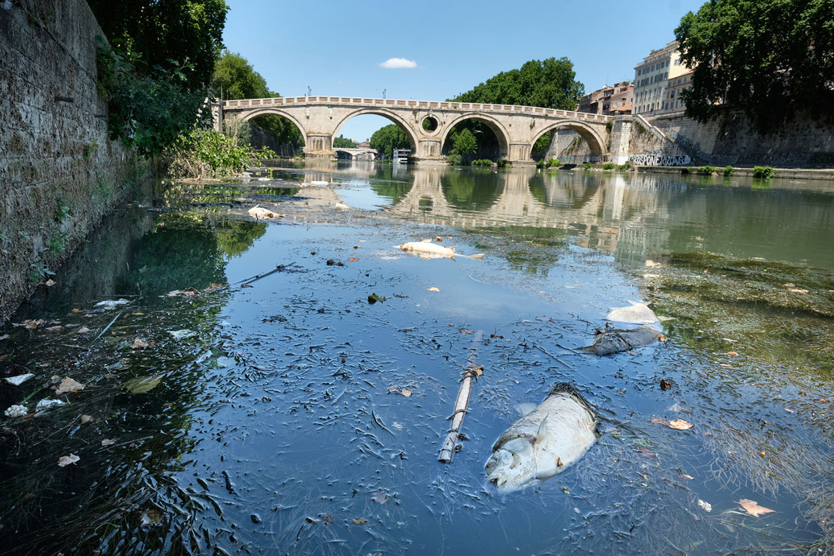 Salvare Roma dalle inondazioni: una serie di dighe dal Paglia al Tevere