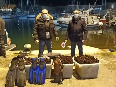 Santa Marinella, dalla Puglia per rubare 10mila ricci: multati due pescatori