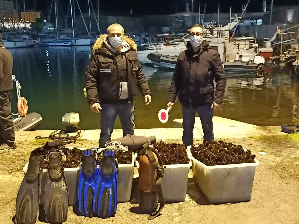 Santa Marinella, dalla Puglia per rubare 10mila ricci: multati due pescatori Santa Marinella, dalla Puglia per rubare 10mila ricci: multati due pescatori