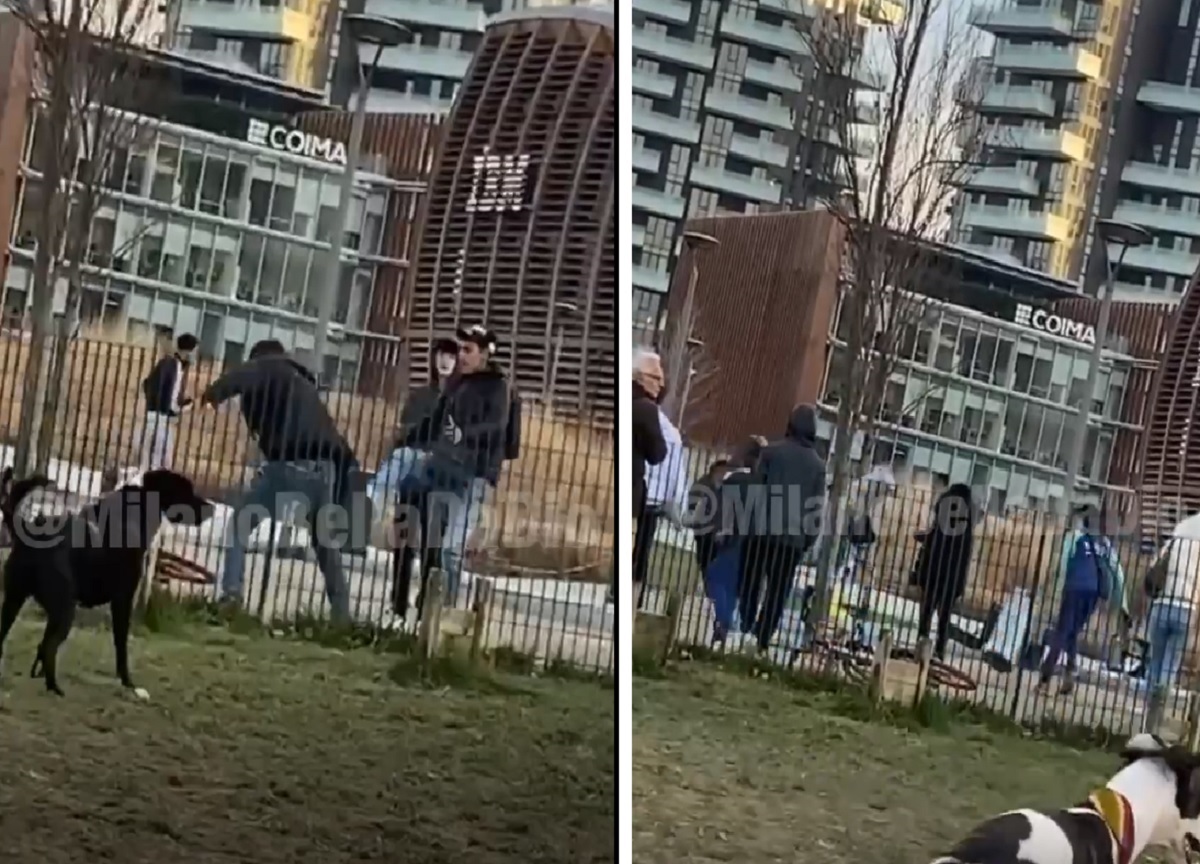 Milano, tentato scippo e rissa tra ragazzi in Gae Aulenti. VIDEO Milano, tentato scippo e rissa tra ragazzi in Gae Aulenti. VIDEO