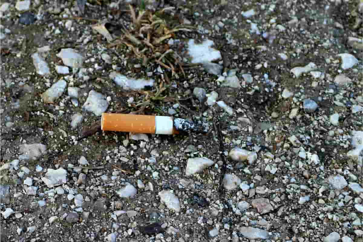 Rifiuti Roma, per il Codacons il problema sono le sigarette buttate a terra Rifiuti Roma, per il Codacons il problema sono le sigarette buttate a terra