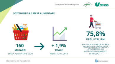 Enpaia-Censis: il valore rilanciato della filiera del cibo