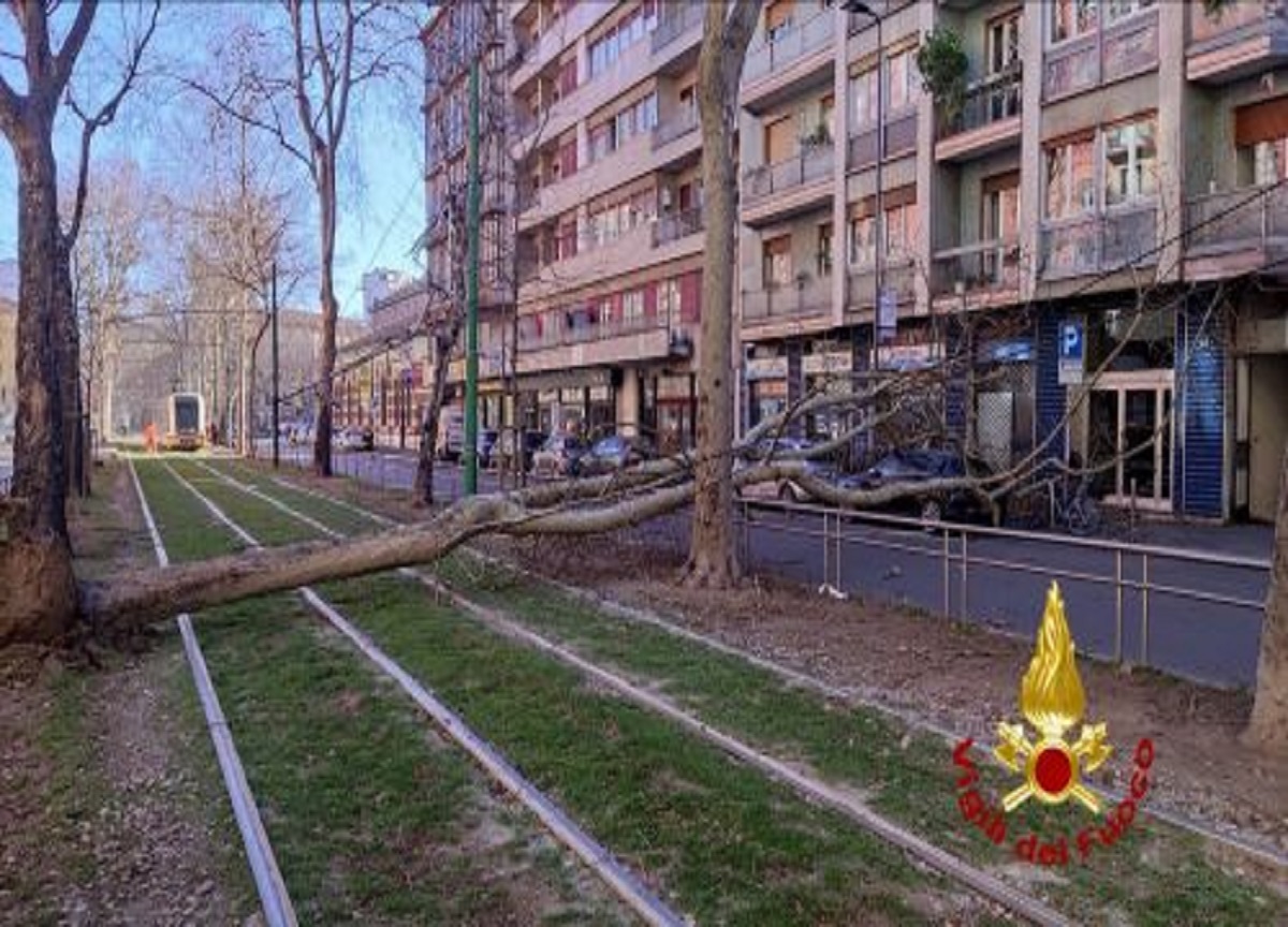 Meteo a Milano oggi dopo i danni del vento di lunedì Meteo a Milano oggi dopo i danni del vento di lunedì