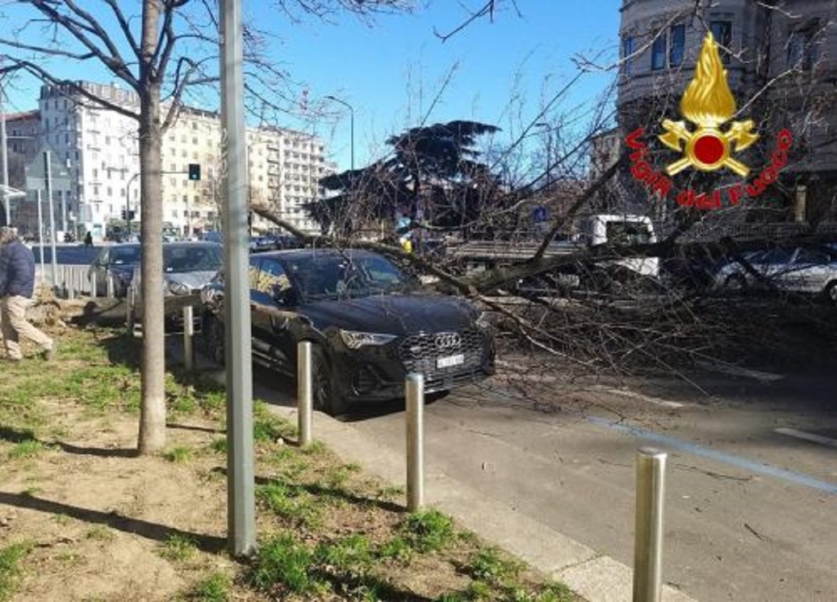 Meteo a Milano oggi dopo i danni del vento di lunedì Meteo a Milano oggi dopo i danni del vento di lunedì