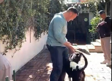 Ferro adotta un cane: “Abbandonato in canile era destinato all’eutanasia”