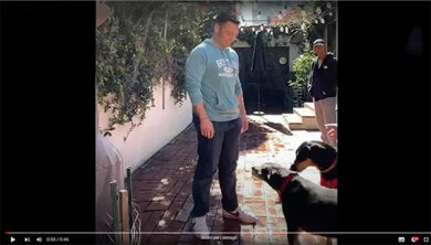 Ferro adotta un cane: “Abbandonato in canile era destinato all’eutanasia”