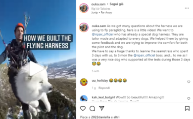 Ouka, il cane esperto di parapendio: in volo con il suo padrone
