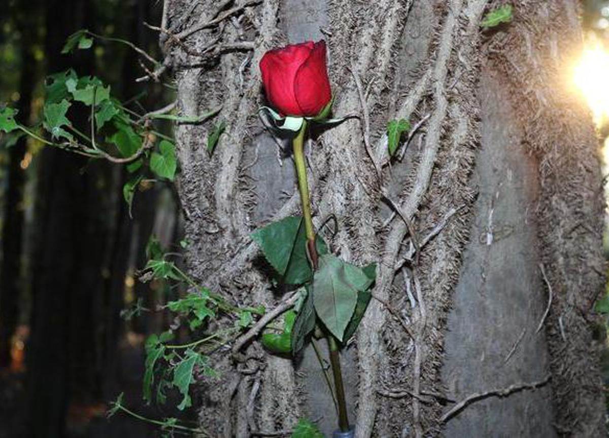 Morte Liliana a Trieste, “Figlio di Visintin le chiedeva soldi”. Nuova pista