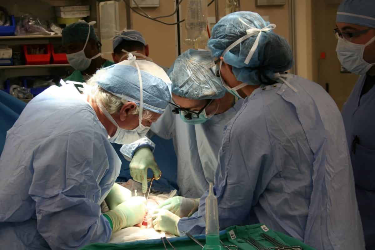 Ospedale Sant’Andrea nella storia: primo doppio trapianto autologo osseo Ospedale Sant’Andrea nella storia: primo doppio trapianto autologo osseo