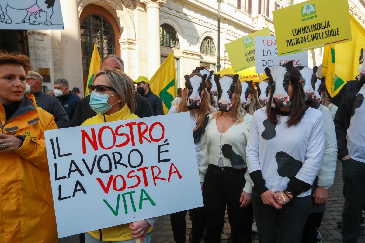 Caro bollette, Coldiretti: “Agricoltori costretti a ridurre la produzione” Caro bollette, Coldiretti: “Agricoltori costretti a ridurre la produzione”