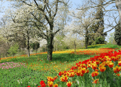 Meteo primavera. Clamoroso, aprile e maggio saranno da paura!
