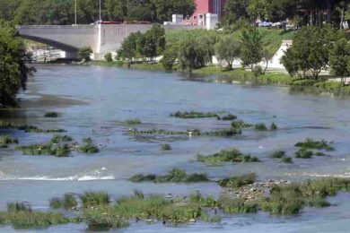 Allarme siccità anche a Roma. Protezione Civile: “Emergenza acqua”