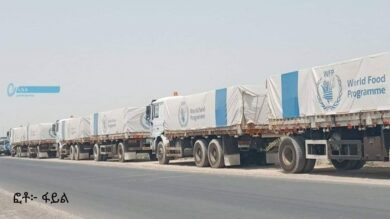 Etiopia, verso la trattativa con i ribelli del Tigrai (Tplf)