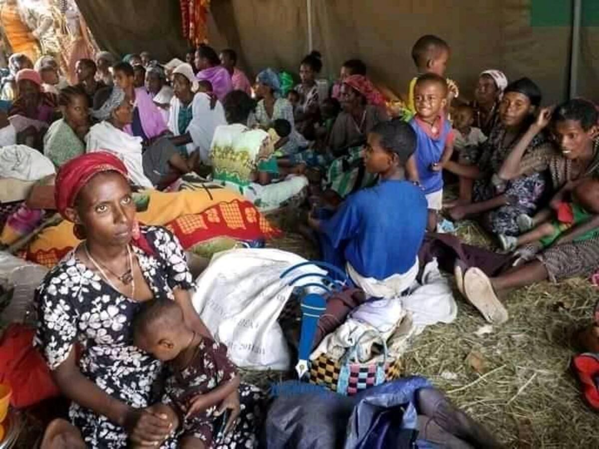 Etiopia, verso la trattativa con i ribelli del Tigrai (Tplf) Etiopia, verso la trattativa con i ribelli del Tigrai (Tplf)