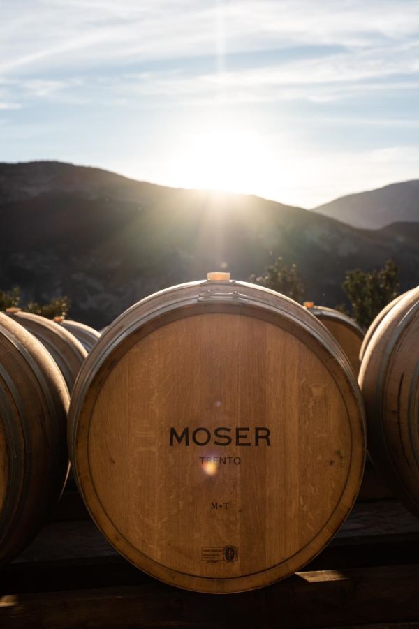 Moser Francesco 3 Moser Francesco 3