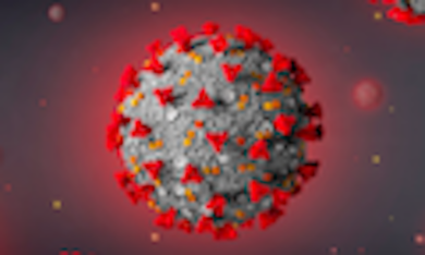 La lattoferrina aiuta a combattere gli effetti del Covid-19