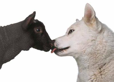 Oliviero Toscani Oliviero Toscani