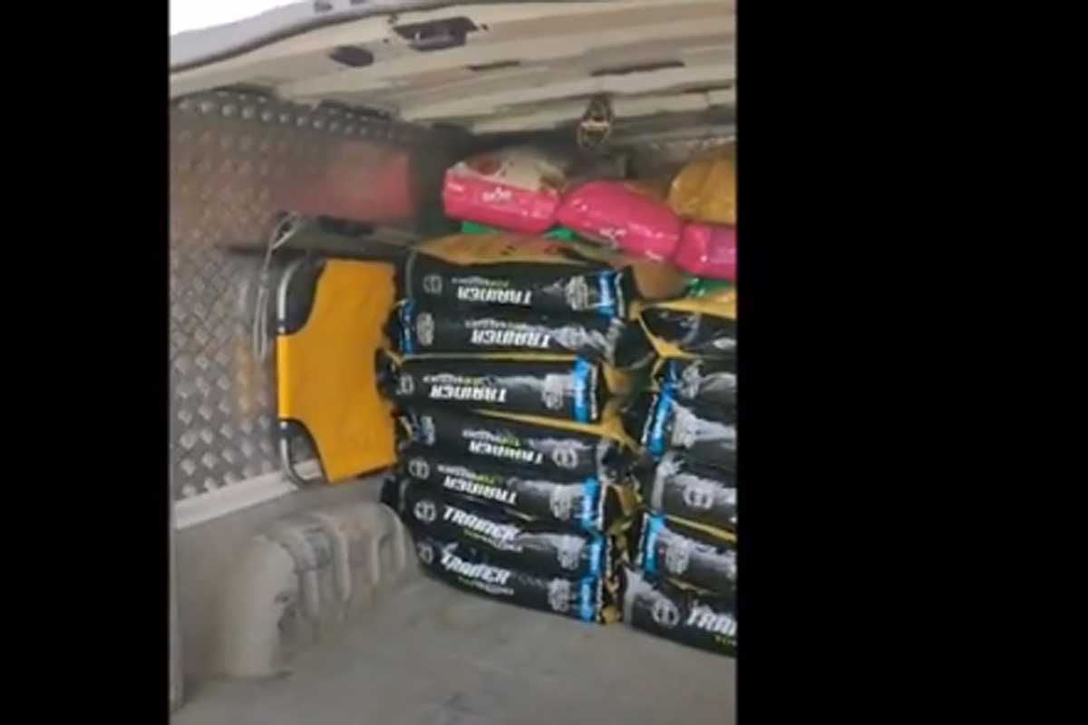 Cibo, trasportini e coperte in partenza dall’Italia per soccorrere gli animali dei profughi ucraini Cibo, trasportini e coperte in partenza dall’Italia per soccorrere gli animali dei profughi ucraini