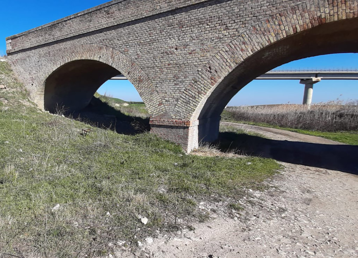 Fondazione FS Italiane: saranno riattivate le linee storiche ad uso turistico