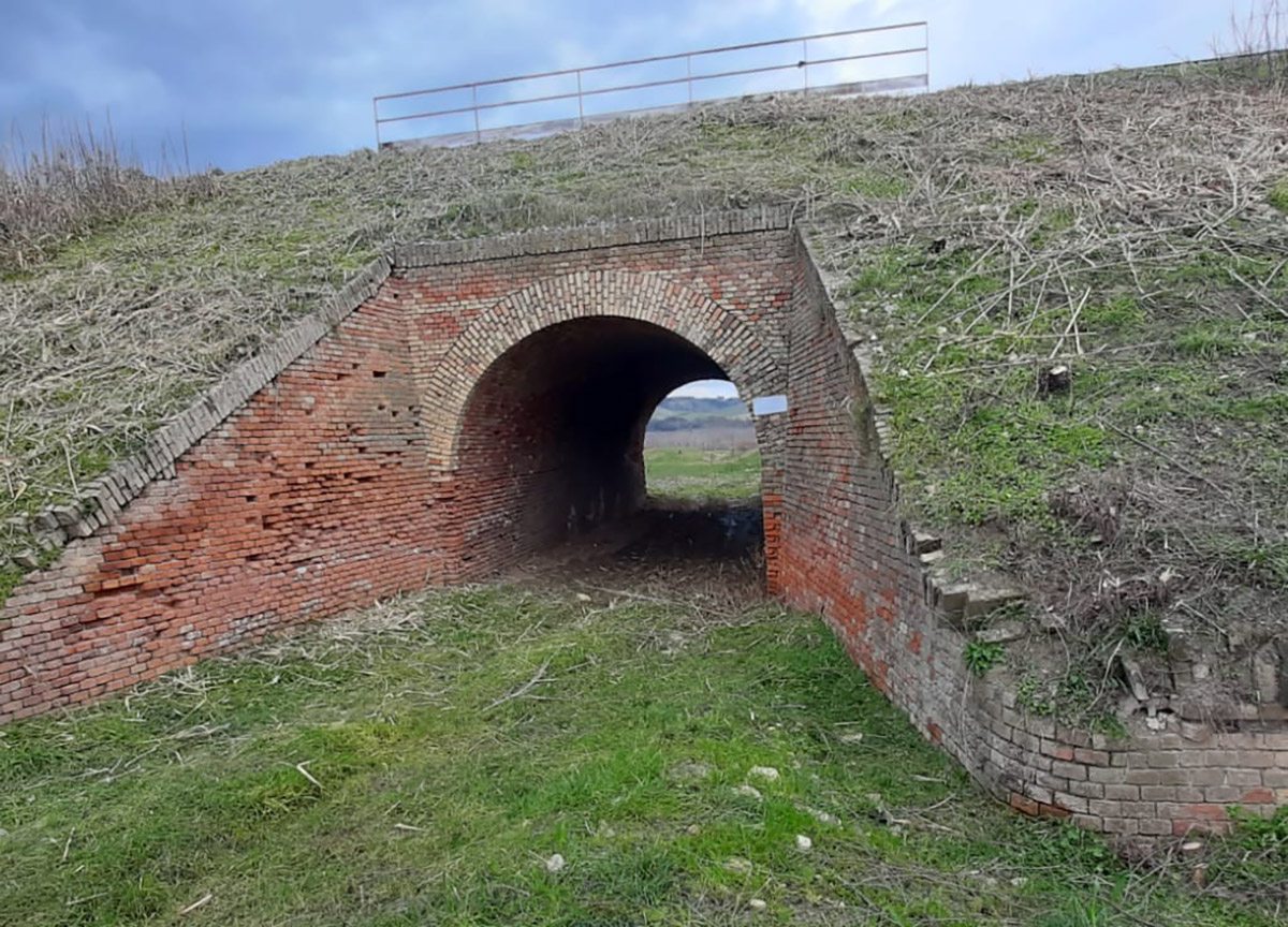 Fondazione FS Italiane: saranno riattivate le linee storiche ad uso turistico