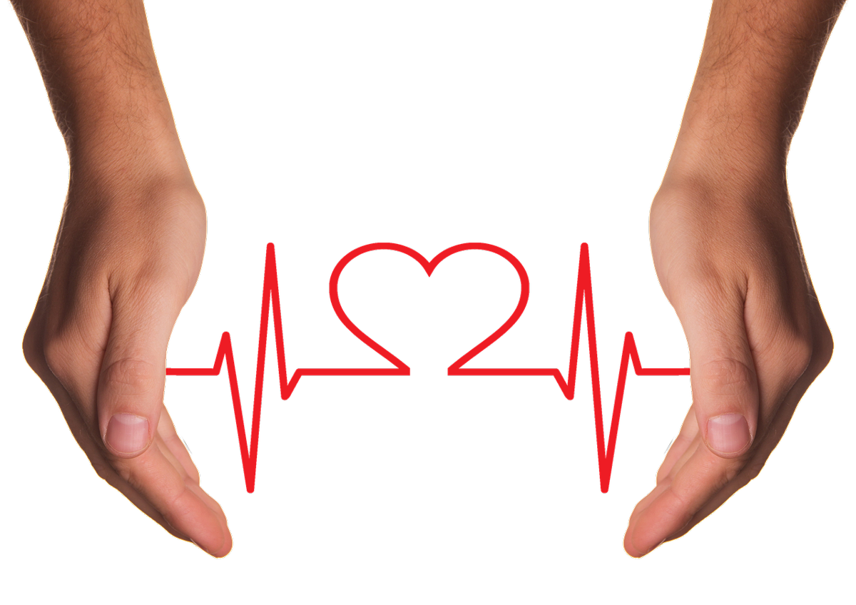 Dieta cuore, cosa mangiare per mantenerlo sano e forte Dieta cuore, cosa mangiare per mantenerlo sano e forte
