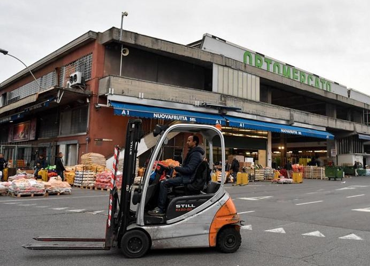 ‘Ndrangheta, sequestro da 1 mln di euro. Affari al Mercato ortofrutticolo ‘Ndrangheta, sequestro da 1 mln di euro. Affari al Mercato ortofrutticolo