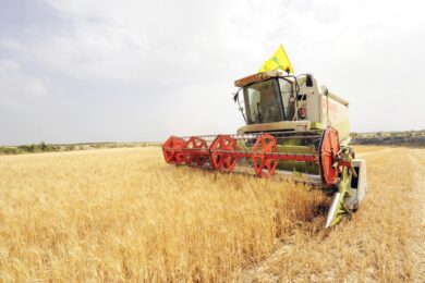 Ucraina, grano e mais sfondano quota 400 euro. Record in Italia per la guerra