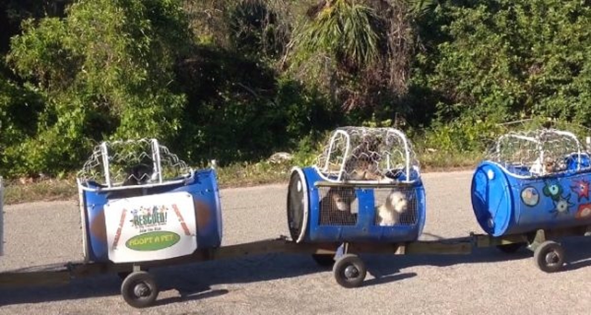 Florida, marito e moglie costruiscono un trenino per cani Florida, marito e moglie costruiscono un trenino per cani