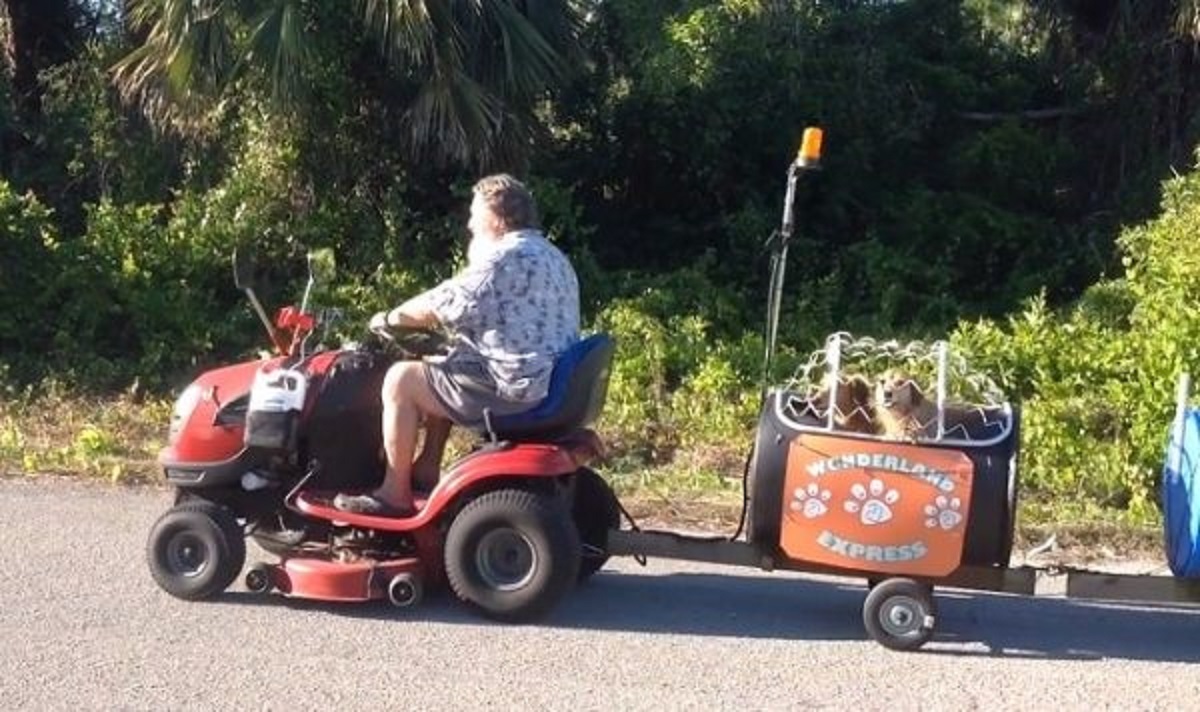 Florida, marito e moglie costruiscono un trenino per cani Florida, marito e moglie costruiscono un trenino per cani