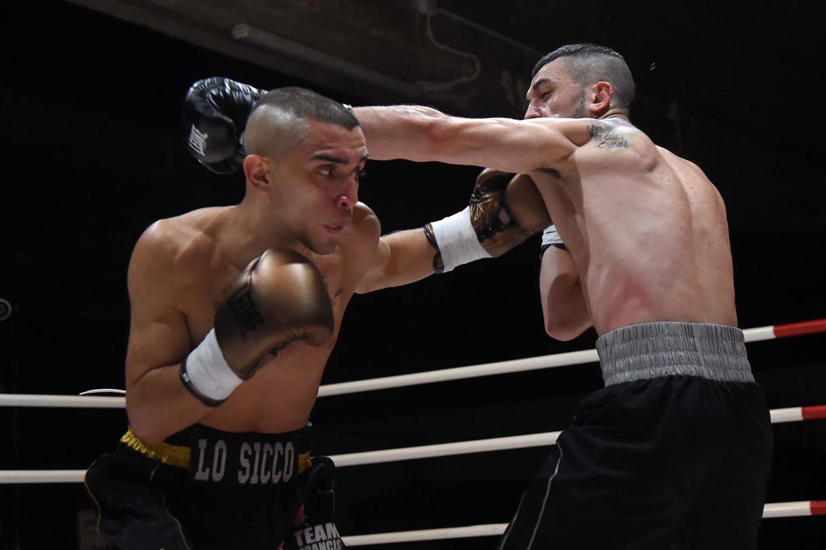 Pugilato, Andrea Lo Sicco del Francis Boxing Team sul ring di Cinisello Pugilato, Andrea Lo Sicco del Francis Boxing Team sul ring di Cinisello
