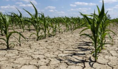Crisi agroalimentare: “Per gli scaffali pieni serve più acqua”