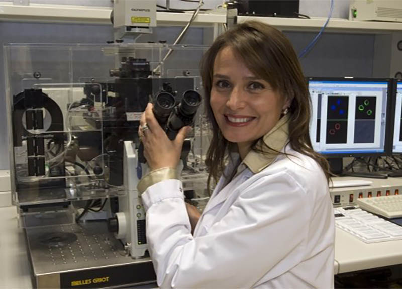 Per Antonella Viola “Il sesso è (quasi) tutto”: il nuovo libro dell’immunologa Per Antonella Viola “Il sesso è (quasi) tutto”: il nuovo libro dell’immunologa