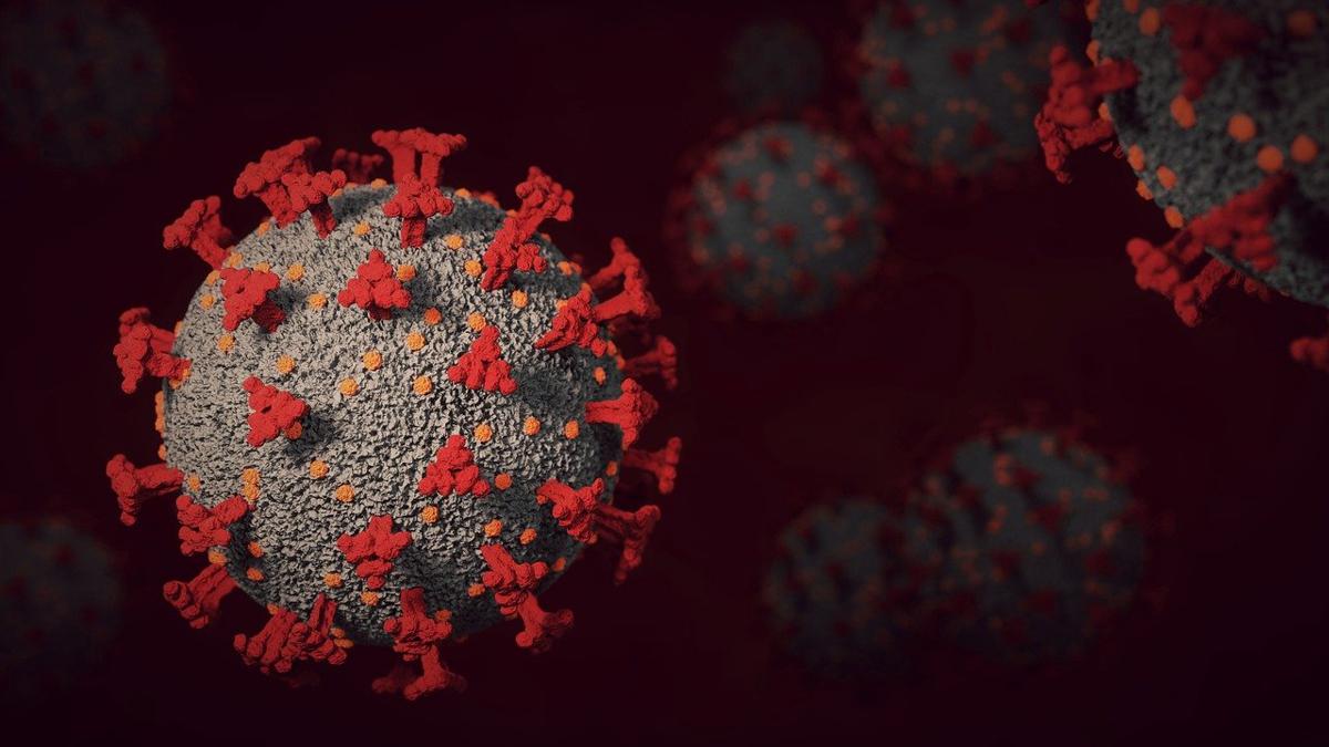 Omicron 2, in Italia arriva la variante Covid più contagiosa di sempre Omicron 2, in Italia arriva la variante Covid più contagiosa di sempre