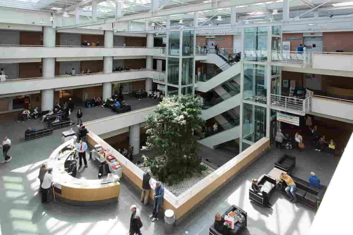 Raoul Bova al Campus Bio Medico per i pazienti con sarcoma dei tessuti molli Raoul Bova al Campus Bio Medico per i pazienti con sarcoma dei tessuti molli