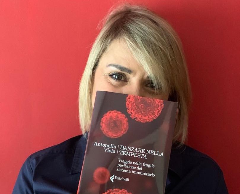 Comunali 2022, la Viola smentisce una sua candidatura: “Gossip da bar” Comunali 2022, la Viola smentisce una sua candidatura: “Gossip da bar”