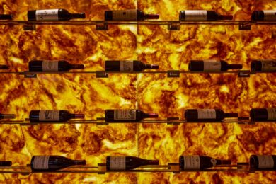 Nuove opportunità: investire (bene) in vini rari e di pregio