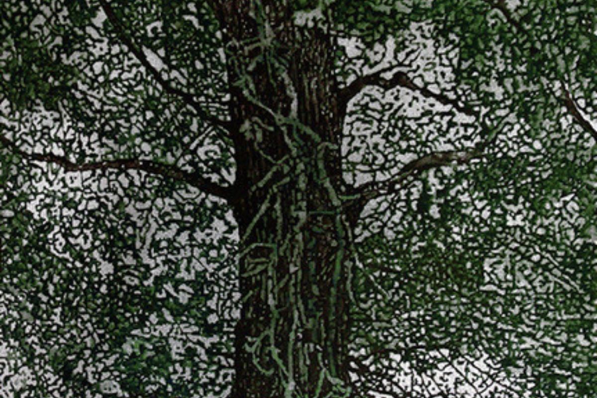 Torna “Ghê Gaia Terra”: 40 artisti in mostra sul rapporto tra uomo e natura