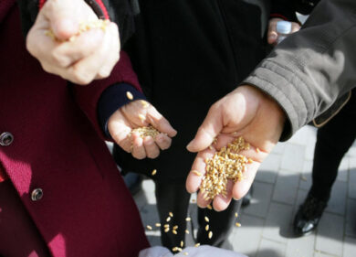 Il caro energia batte la pressione fiscale: le imprese di Roma in ginocchio