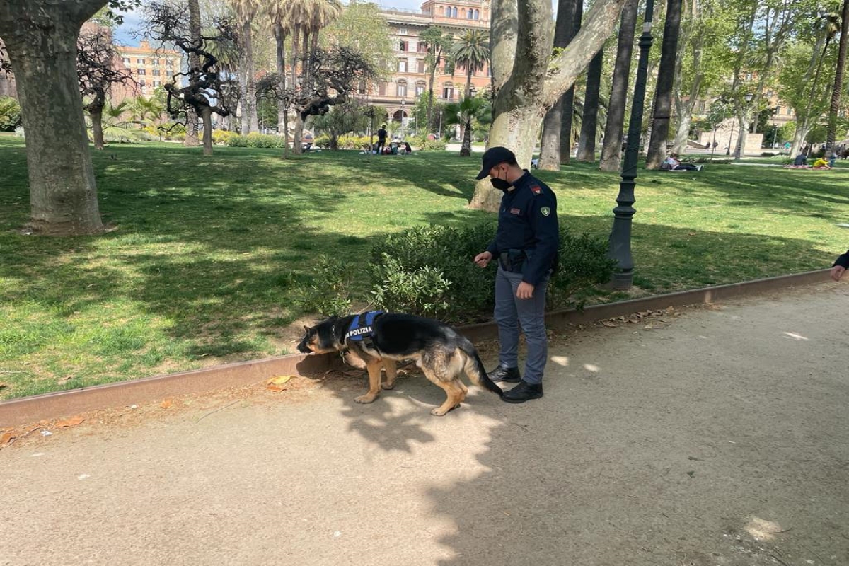 Esquilino sottosopra. Maxi operazione interforze di Carabinieri e Polizia