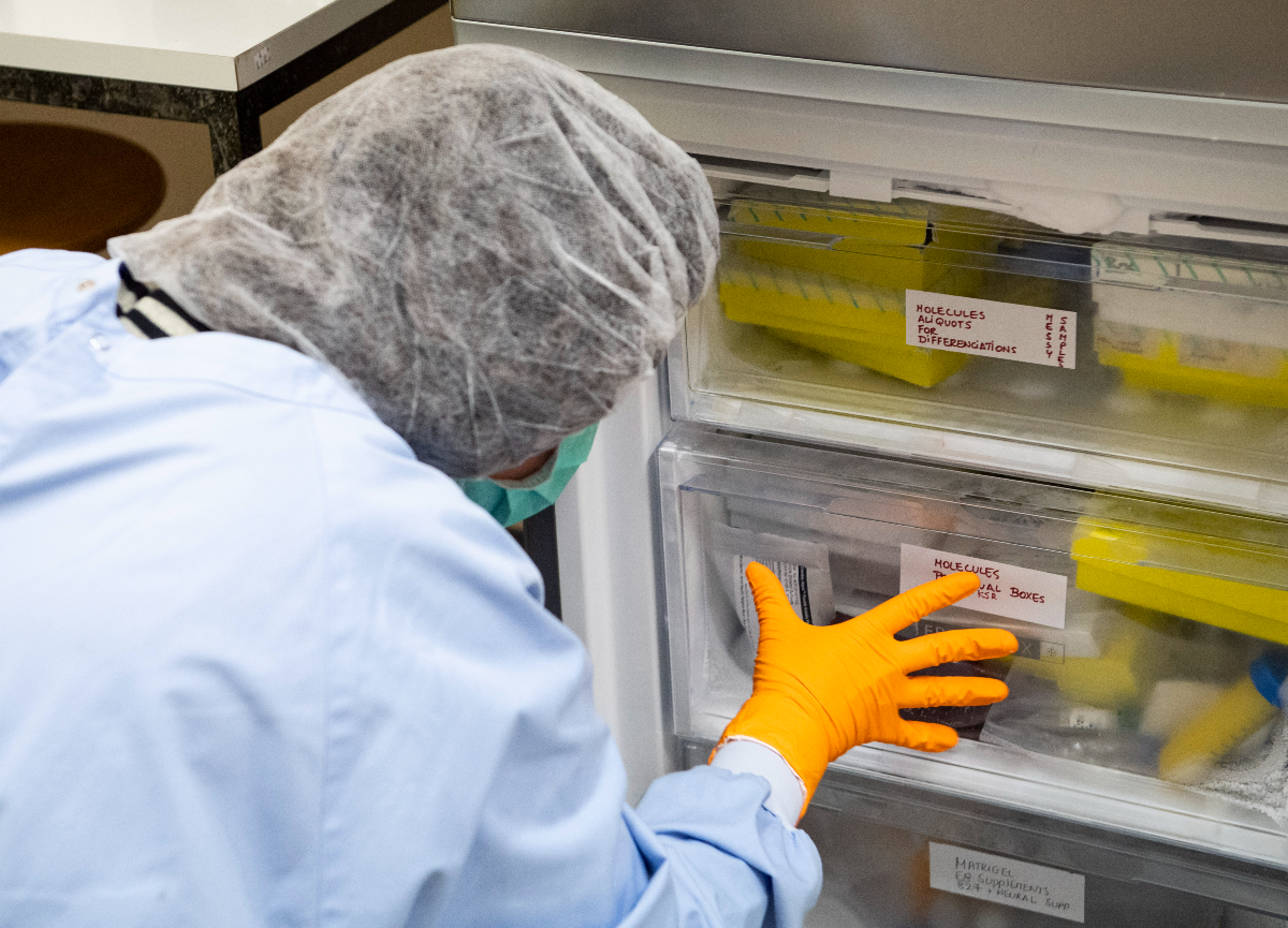 Cancro alla prostata, la scoperta: 5 batteri collegati al tumore che uccide Cancro alla prostata, la scoperta: 5 batteri collegati al tumore che uccide