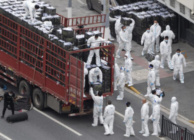 Cina, primo caso umano confermato di influenza aviaria H3N8. Nuovo allarme