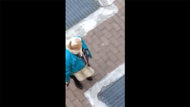 Treviglio, 70enne uccide il vicino a colpi di pistola: l’incredibile video