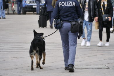 Truffe nel palermitano, arrestato l’ex conigliere Giulio Cusumano