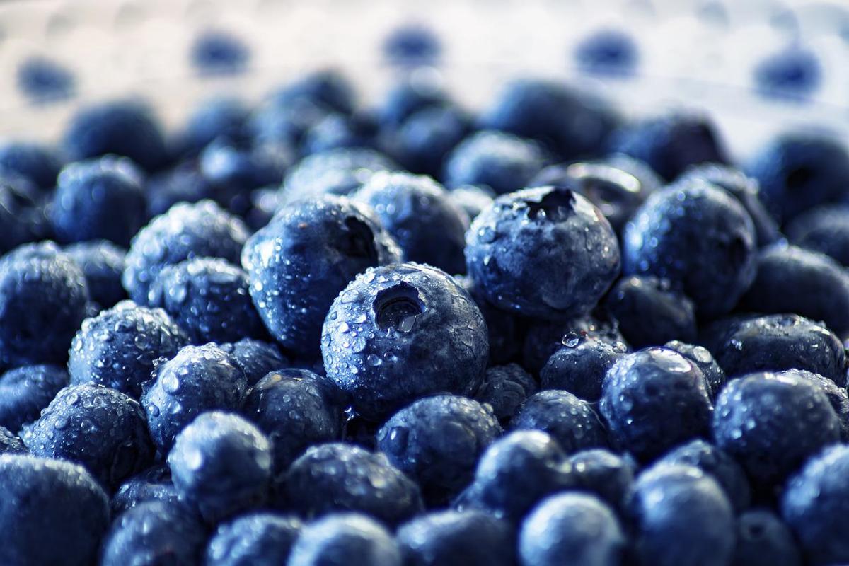 Quali vitamine prendere in primavera: ecco le più utili all’organismo Quali vitamine prendere in primavera: ecco le più utili all’organismo
