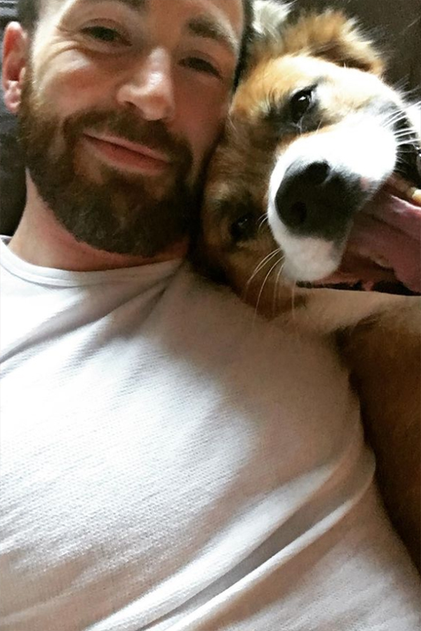Cani e vip, i gesti più folli dei famosi per i loro amici a quattro zampe Cani e vip, i gesti più folli dei famosi per i loro amici a quattro zampe