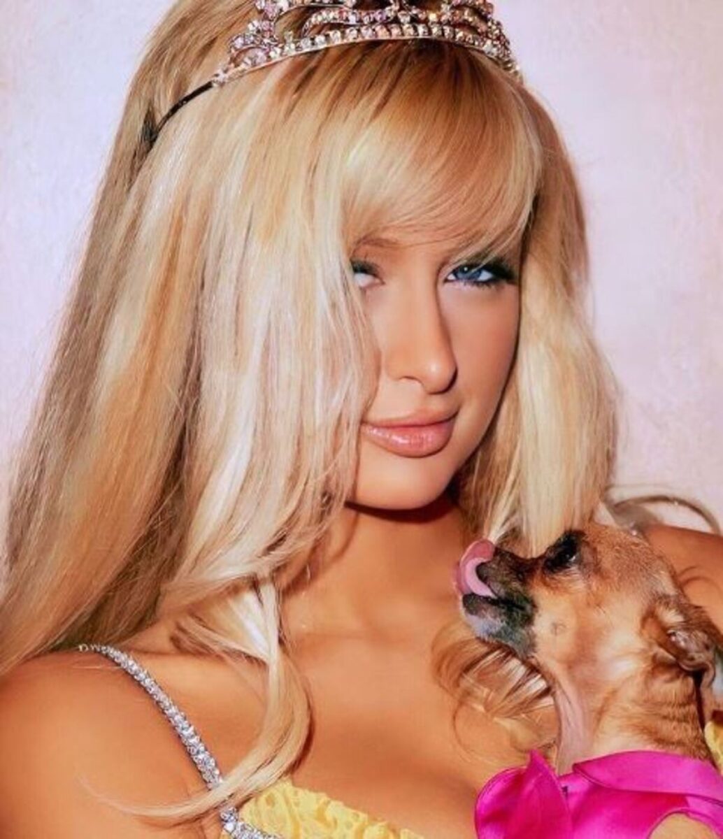 Cani e vip, i gesti più folli dei famosi per i loro amici a quattro zampe Cani e vip, i gesti più folli dei famosi per i loro amici a quattro zampe