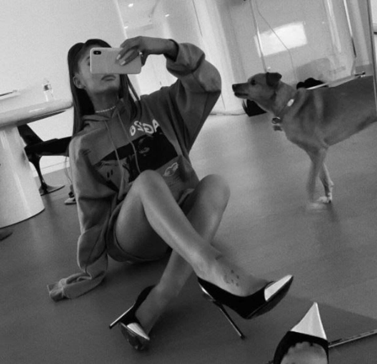 Cani e vip, i gesti più folli dei famosi per i loro amici a quattro zampe Cani e vip, i gesti più folli dei famosi per i loro amici a quattro zampe