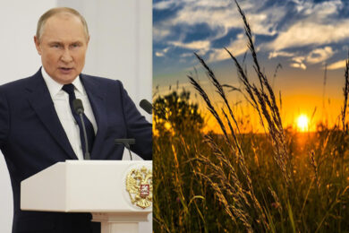 Guerra del grano scatenata da Putin: allarme carestia. E si impenna il riso…