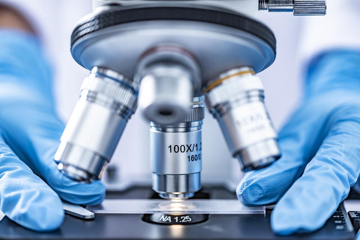 Cancro della pelle, 7 milioni i pazienti in Ue: in aumento i casi di carcinoma Cancro della pelle, 7 milioni i pazienti in Ue: in aumento i casi di carcinoma
