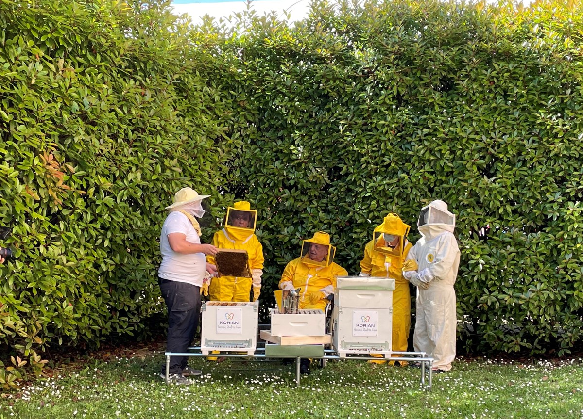 “Bee Korian”: anziani e studenti si prendono cura delle api “Bee Korian”: anziani e studenti si prendono cura delle api